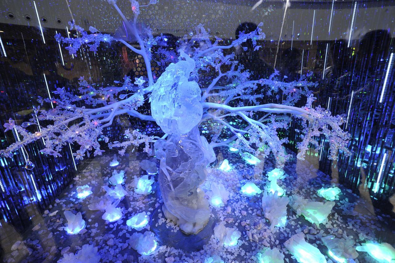 Howard Johnson Flower City Hotel Kunming Bagian luar foto