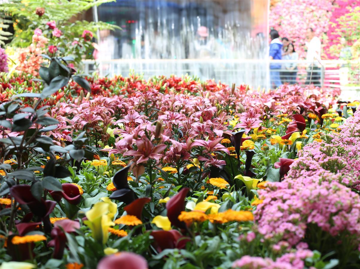Howard Johnson Flower City Hotel Kunming Bagian luar foto
